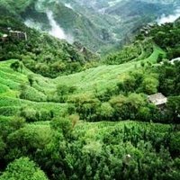 علي علي (@ny1jt988) Twitter profile photo