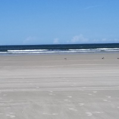 KarenEPutman1's profile picture. 