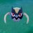 adios_swallows's profile image