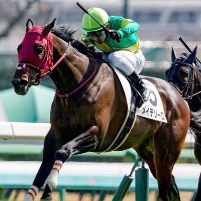 競走馬の持つ本当の能力を過去のレース内容から分析 その日の勝負レースを厳選配信 中央競馬・地方競馬の予想は下記URLのnoteで販売 ※買目は◎◯▲△の評価順 で「◎」を軸に コメントやDMは『温かいメッセージのみ』皮肉・クレーム・誹謗中傷・アンケート等のDMやコメントは遠慮ください