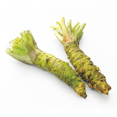 Moshjyq_san's profile picture. 21 ♂ /  UEC23 Ⅰ類 / 絶起王 / VLL (楽曲 • 音響班) / UECCC幽霊班 / 音ゲ / V推し / 歌い手推し / あだリス/