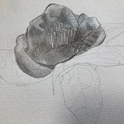 独学でアナログ絵（鉛筆画）学習中。季節折々の花を描きたい。ウェールズ語が好きで洋書を買って読んでいます。お酒は半合派。