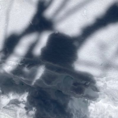 nさんのプロフィール画像