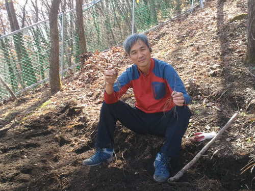 산림농업에 관심이많으며 산양삼.약초.산나물등을 재배하고있어요 모노레일체험농장을 운영하지요 왕산약초마을입니다~~~~~