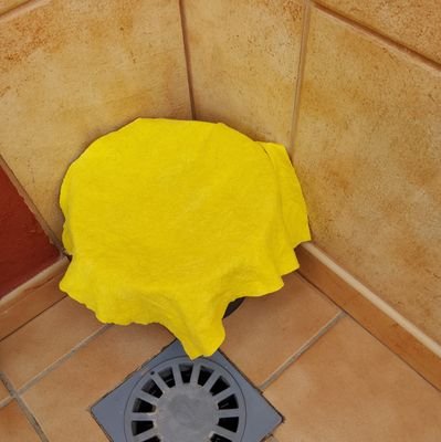 MarcAlcide3's profile picture. 