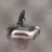 Calebdenze's profile image