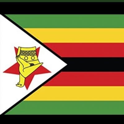 Resist ZanuPF with every fibre of my being, proud Zimbabwean working to see a free country 🇿🇼❤️🙏🏾