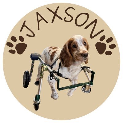 Help our Jaxson the get surgery he needs at a specialist referral practice https://t.co/wA4wUZNgi8