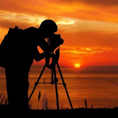 Web Developer,Web Designer, Internet Marketing Advisor & Network Administrator.