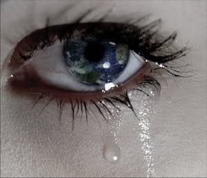 niehal616262's profile picture. حرام  عليكم   مصر