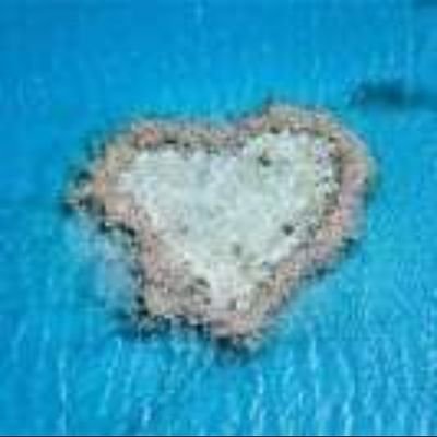 RIE12091's profile picture. 