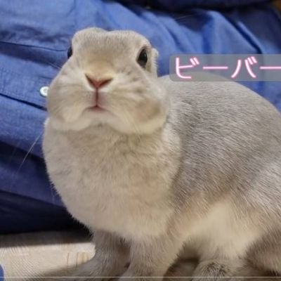 PPetitvanilla's profile picture. (=｀ェ´=) นุ่น เพื่อนบอกว่าเนื้อนิ่ม
Aries×INFP×Art and Science×
Reading×Painting×Stray kids 🐰🦊×Stay