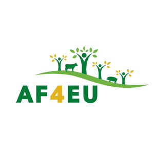 Agrometsätalouden innovaatioiden ja liiketoimintamallien edistämistä, kehittämistä ja keskustelua. Verkostoa ylläpitää AF4EU -hanke. #agrometsätalous