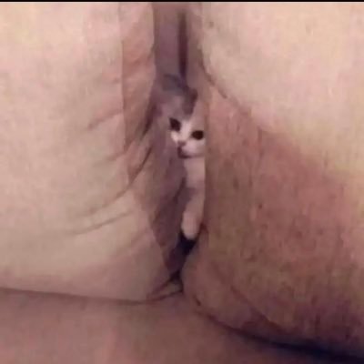 Hasake16's profile picture. 