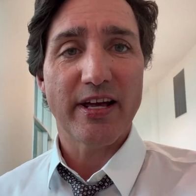 tweetatdavedave's profile picture. 