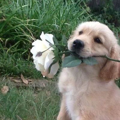 @2handsverycute