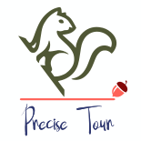 precise_tour Profile Picture