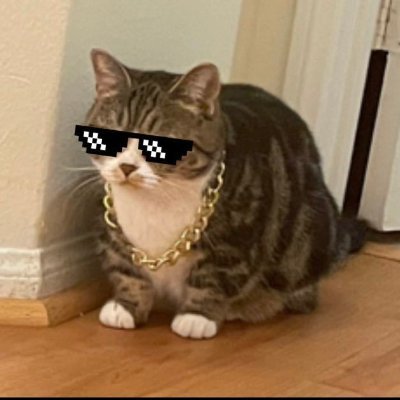 Game designer/dev/artist/producer. Making a crab game ≡(. . )≡