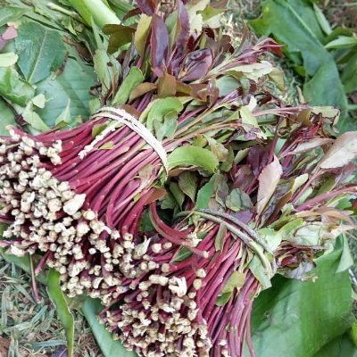 Tabxy17's profile picture. 