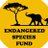 @FundSpecies