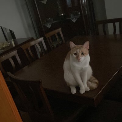 Basarkucuk09's profile picture. itü