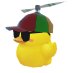 Ibzy Studios #DuckRace (@ibzystudios) Twitter profile photo Ibzy Studios #DuckRace (@ibzystudios) Twitter profile photo
