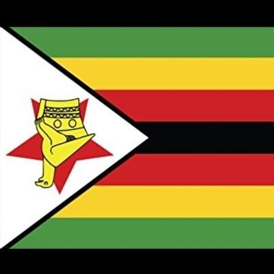 Patriotic Zimbabwean (Not by the crooked ZANU PF definition). Lover of books and my homeland. Aspirant to a reimagined Zimbabwe.