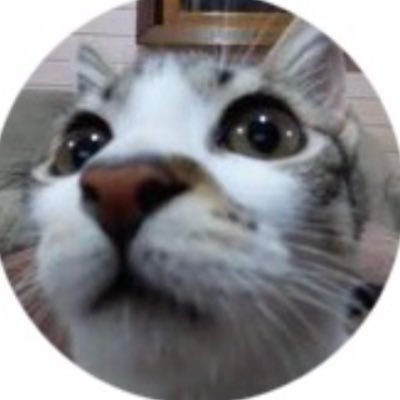 gabietchebest's profile picture. 