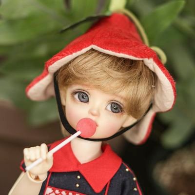 성인. 틀림이 아닌 다름. BJD, 🩵, 가벼운 구현인형. 열린 계정 과한욕&19❌, 구독⭕, 알계플텍계 구독❌ 맞팔은 DM 주세요✨️