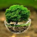 Yanam_Cryptor's profile picture. 📈 #NFA #BSC #BTC #Meme #Gems #BSC #BNB #ERC #DYOR #CheemsInu #LFG #Avax #Bnb #Eth #Btc #NBC
#1000x #1000xGems #VOLT #SHILLING #altcoin #SaferWeb3 #NFTCommunity