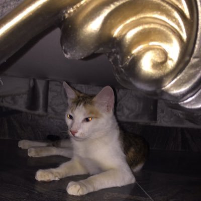 Eff_Eem's profile picture. 