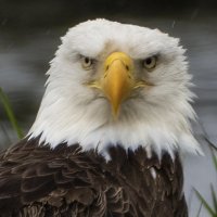 TRINITYPREZ (@trinityprez) 's Twitter Profile Photo TRINITYPREZ (@trinityprez) 's Twitter Profile Photo