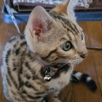 martini (@clubmartini0922) Twitter profile photo