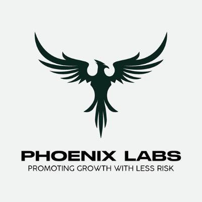 Phoenix Labs is an exclusive alpha group built for experienced and like-minded traders