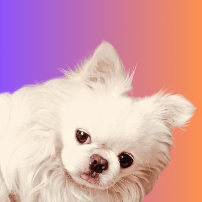 fujiwara_office's profile picture. 