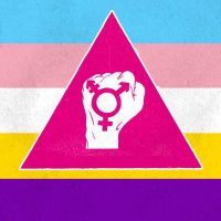 Trans & Intersex Pride Dublin 🏳️‍⚧️🏳️‍🌈(@DubTrans) 's Twitter Profile Photo