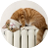 lovelviaje's profile image