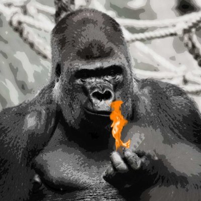 reservoirlogsGB's profile picture. Premium Quality Kiln Dried Firewood Logs Direct to Your Door