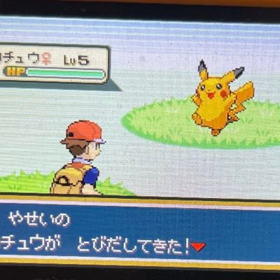 🇨🇳 shiny hunter