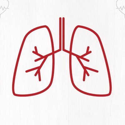 NLLung's profile picture. Assists, educates, and empowers individuals living with, or caring for others, with lung disease.
