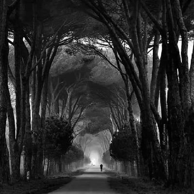 turanabdul's profile picture. Deli de , bu Fani Dünyanın delisi değil...