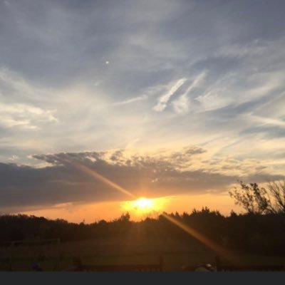 rbzuko84's profile picture. 