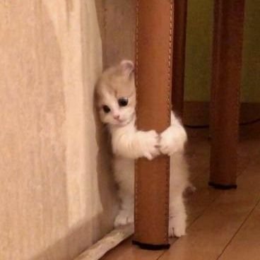 nq0dezk's profile picture. ⊹˚₊⊹˚ʚ hi good boy 🦮 ੭ 𓂃꙳⋆
                 Ꮇ𝚊𝚔𝚎𝚏r̶𝙞є𝚗𝚍𝚜 ᗪ₥ 24/⁷ ✩💋