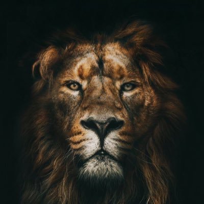 borabora4545's profile picture. 