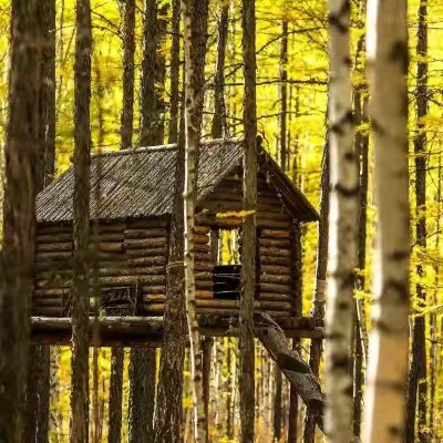 qiulaihuo2024's profile picture. 开心就好