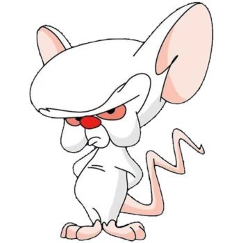 D_Twitt3r's profile picture. 