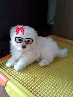 난 누굴까?