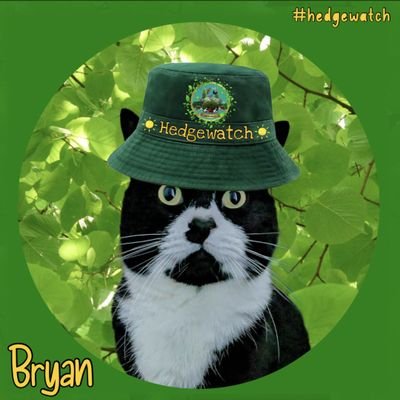 Bryan TESD Kitty here! Suave, shameless promoter of stuff. I'm 7 & I ❤️ snacks, darts, history & Grandpa. Brofur of @Lilypad_The_Cat & @Chester_R_Kitty 🐾🤘