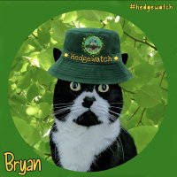 @Bryan 💜 Tinks(@InfluencerBryan) 's Twitter Profile Photo