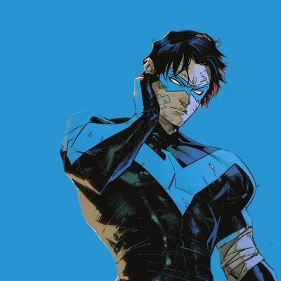 Who do I think I am? Good question, really, and I'll answer like this: I've seen too much to be Robin, but I'm still too optimistic to be Batman. I'm Nightwing.